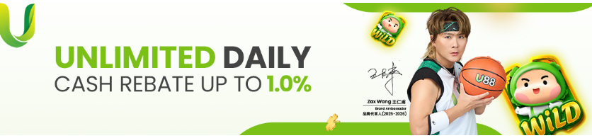 Unlimited Daily Rebate
